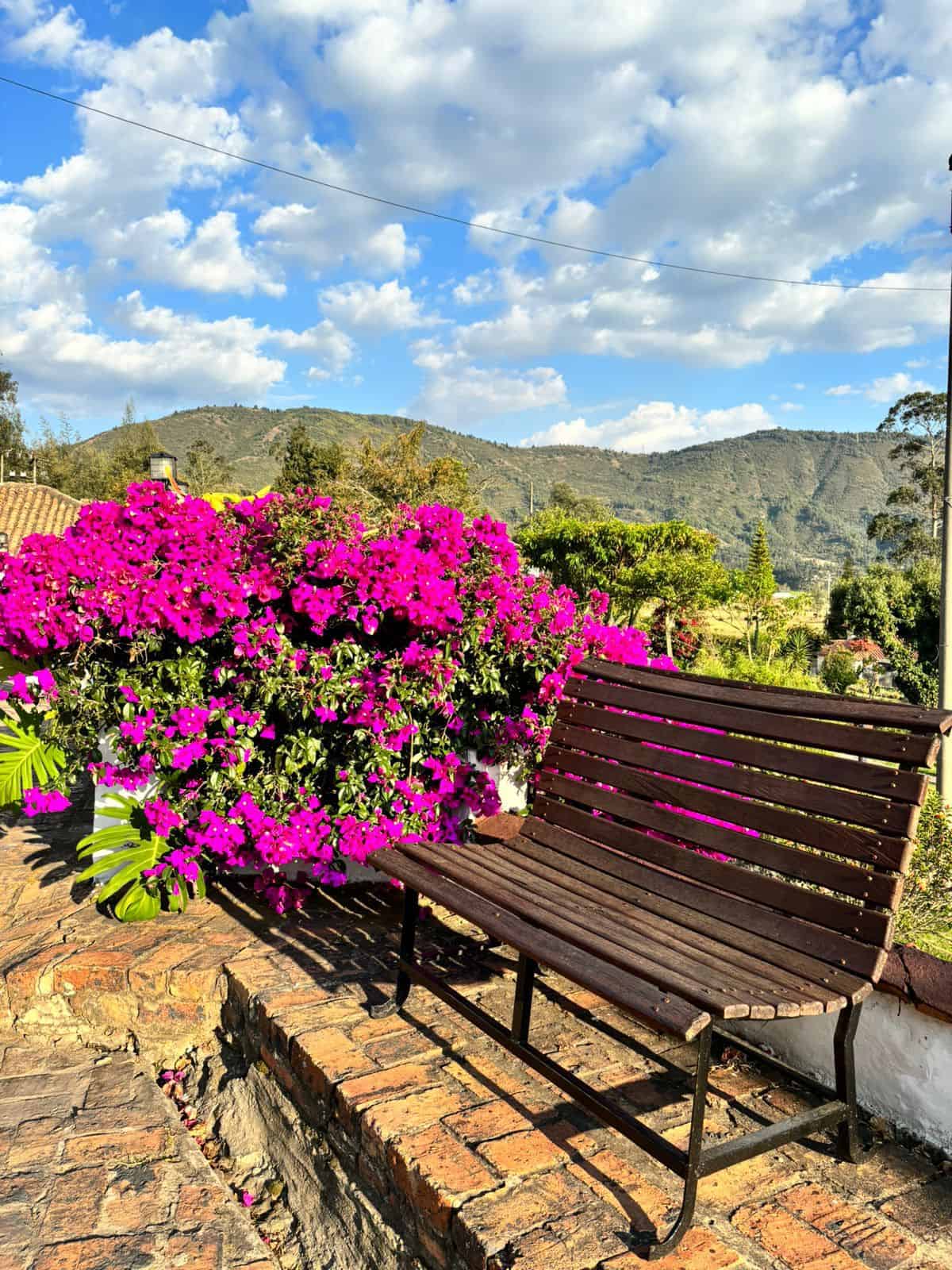 Jardines y espacios naturales Hotel Punta Larga